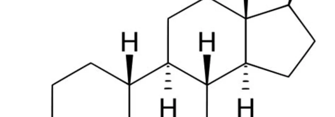 Steroids Family Tree (Type of Steroids)