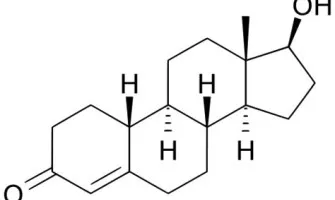 Steroids Family Tree (Type of Steroids)