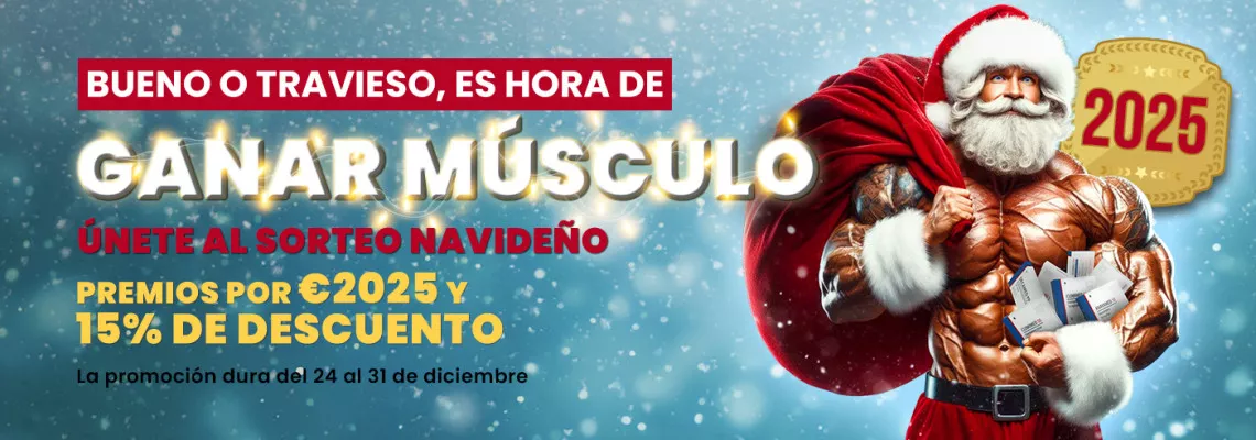 Promoción de Navidad 2024