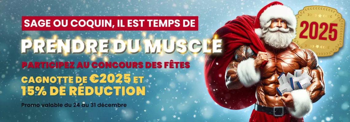 Promotion de Noël 2024