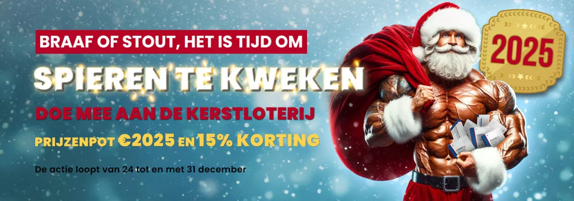 Kerstpromotie 2024