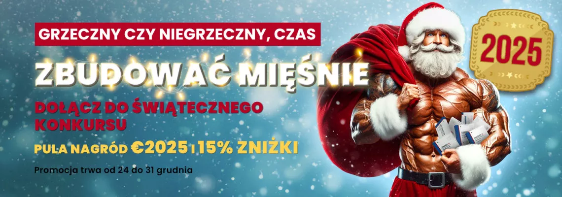 Promocja świąteczna 2024