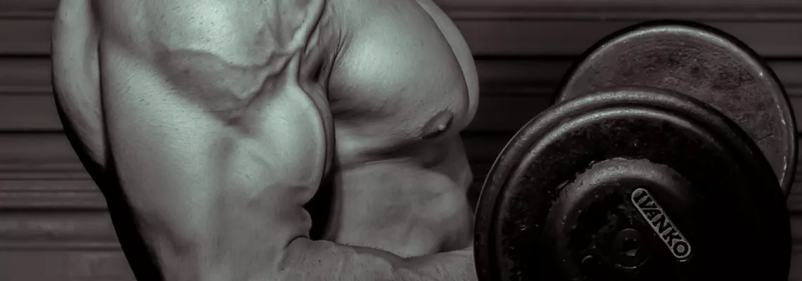 How Fast Can You Build Muscle