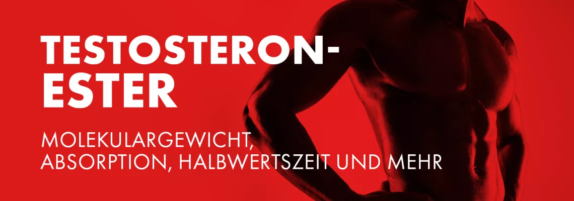 Testosteronester verstehen: Molekulargewicht, Absorption, Halbwertszeit und mehr.