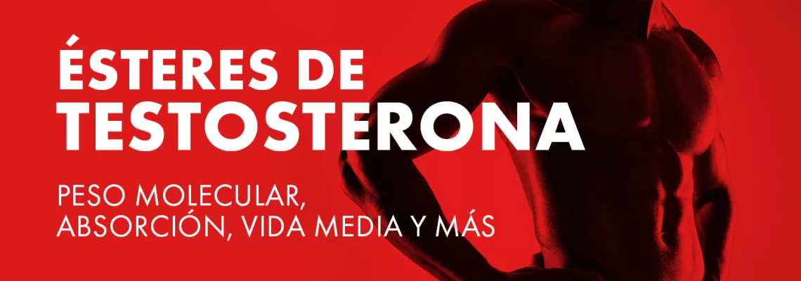 Comprensión de los ésteres de testosterona: peso molecular, absorción, vida media, etc.