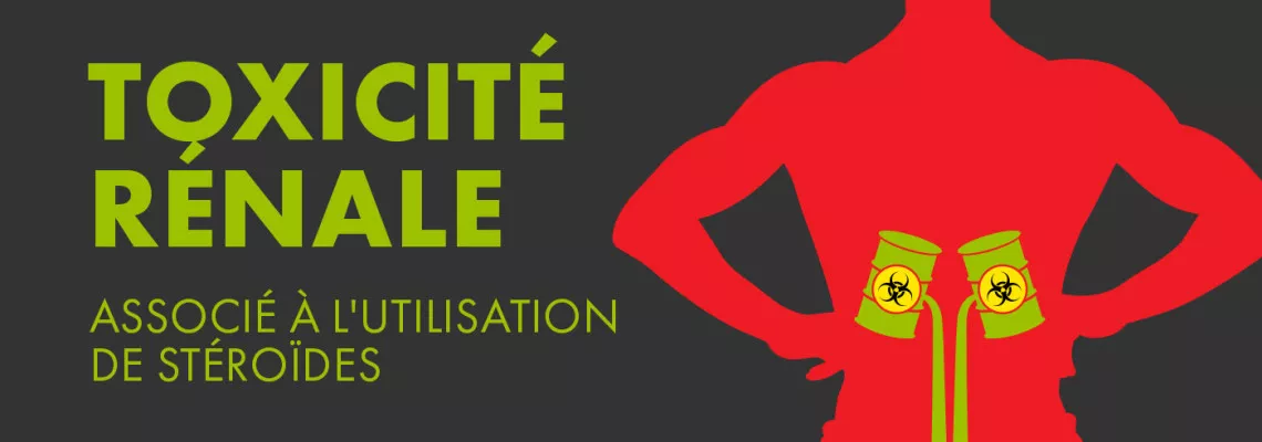 Toxicité rénale associée à l'utilisation de stéroïdes