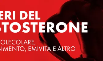 Comprensione degli esteri del testosterone: peso molecolare, assorbimento, emivita e altro.